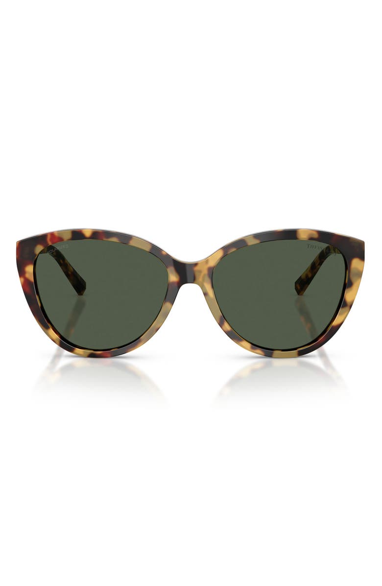 Tiffany & Co. 56mm Polarized Cat Eye Sunglasses, Main, color, Blonde Havana / Polar Green