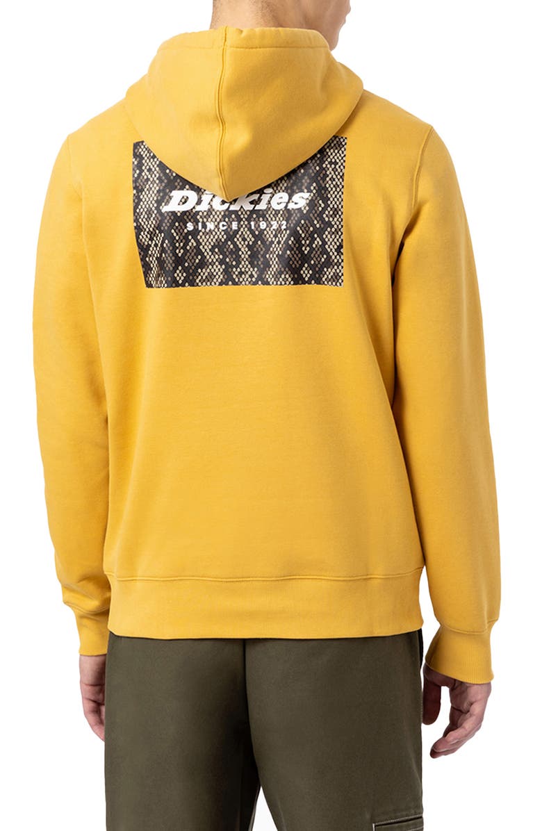 Dickies Life Camden Graphic Hoodie, Alternate, color, 