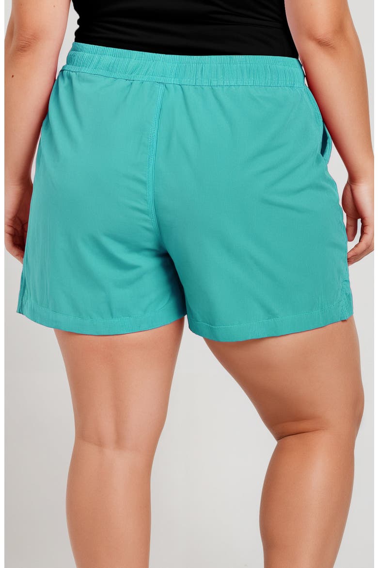 Plus Size 4" Board Shorts, Alternate, color, Calypsa Teal
