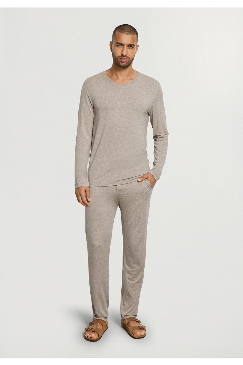 Casuals Long Sleeve V-Neck Top, Alternate, color, Hazelnut Melange