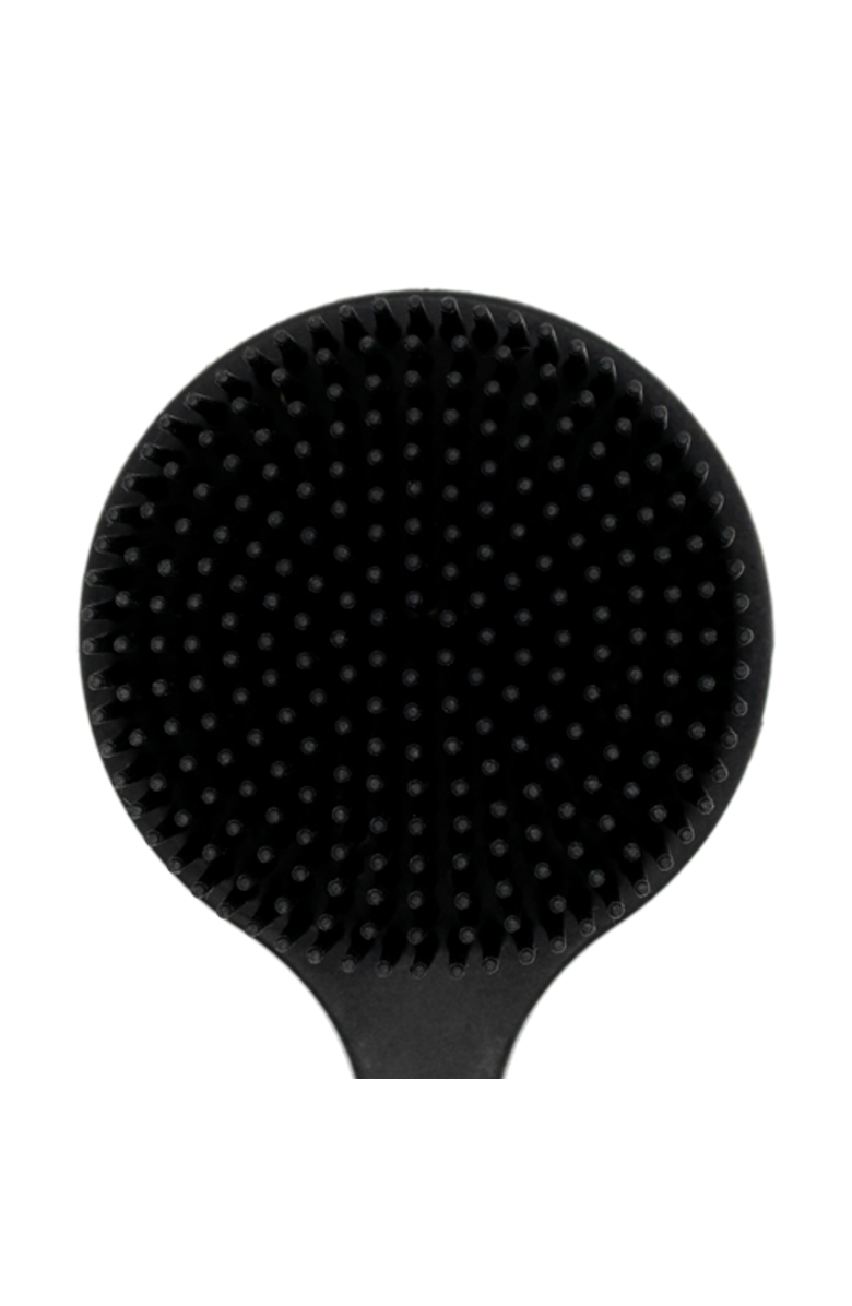 Pete & Pedro Long Handle Back & Body Shower Scrub Brush, Alternate, color, NO COLOR