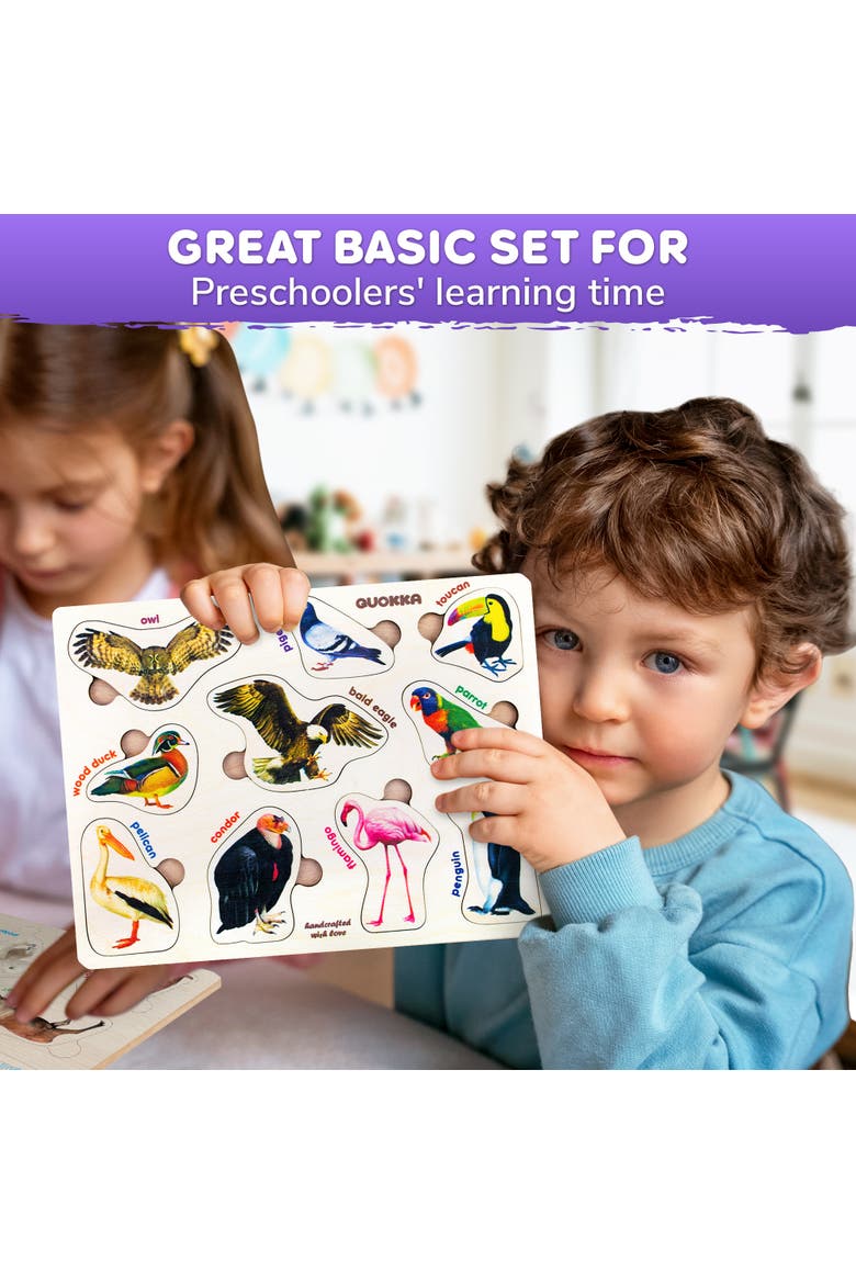 3xSET Montessori Wooden Puzzles for Toddlers, Alternate, color, Insects, arctic animals, birds