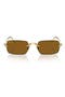 selected Arista / Dark Brown Polar