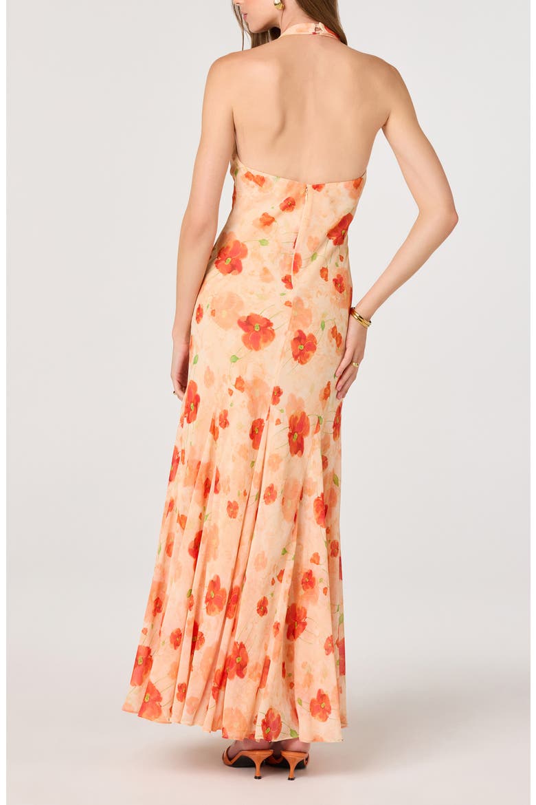 Yasmen Floral Plunge Halter Neck Maxi Dress, Alternate, color, ORANGE FLORAL