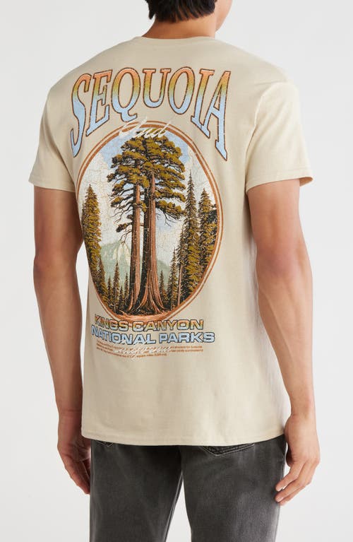 Alpha Collective Sequoia National Park Cotton Graphic T-shirt