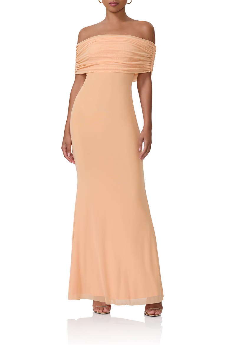 McCall Off the Shoulder Mesh Maxi Dress, Main, color, PEACH FUZZ