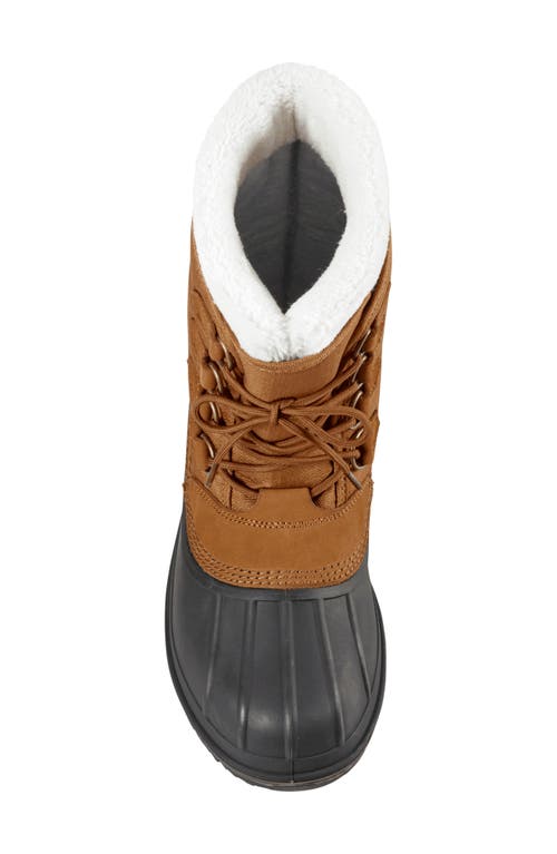 Baffin Bobcaygeon Winter Boot In Brown