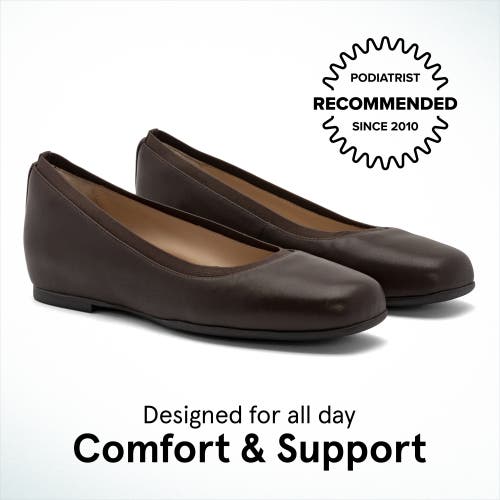 Abeo Cadence Ballet In Dark Brown - Regular