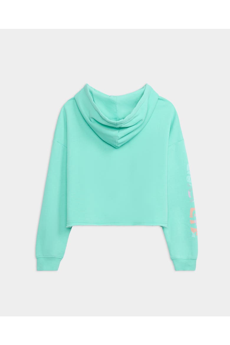 Salty Mind Long Sleeve Ocean Wash Fleece Cropped Hoodie, Alternate, color, Pool Blue