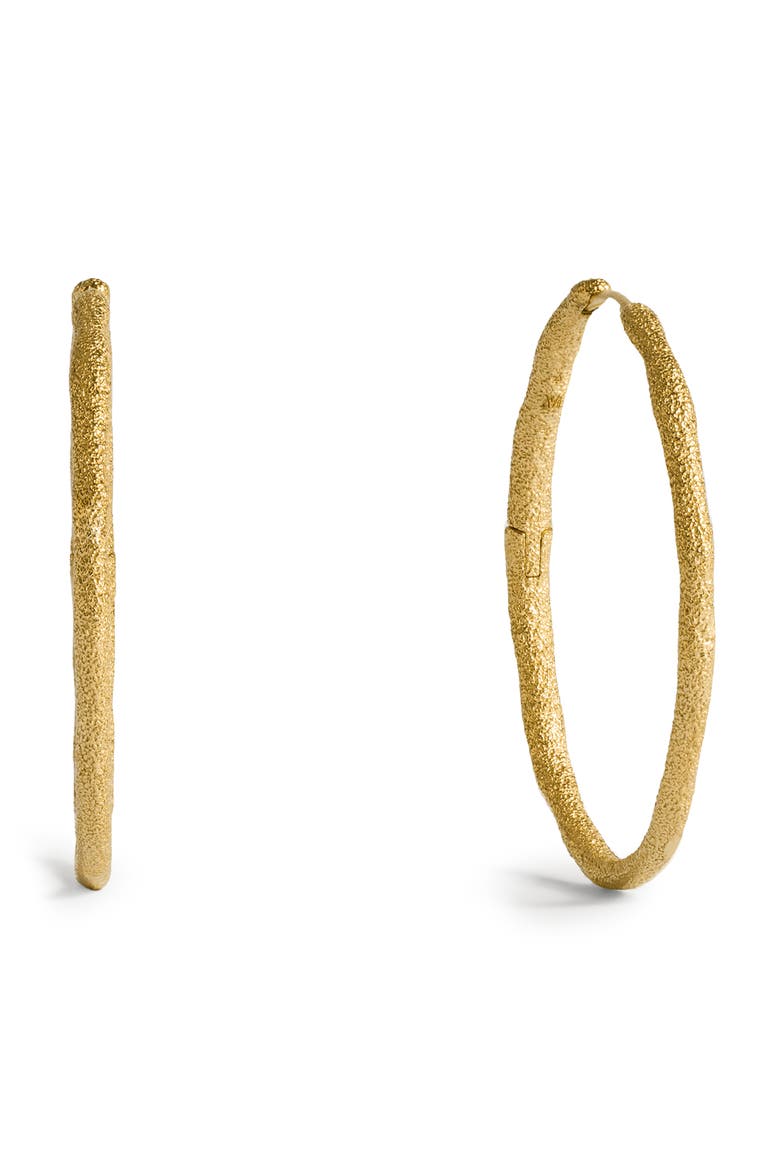 Large Antica Slim Hoop Earrings, Main, color, 18K GOLD VERMEIL