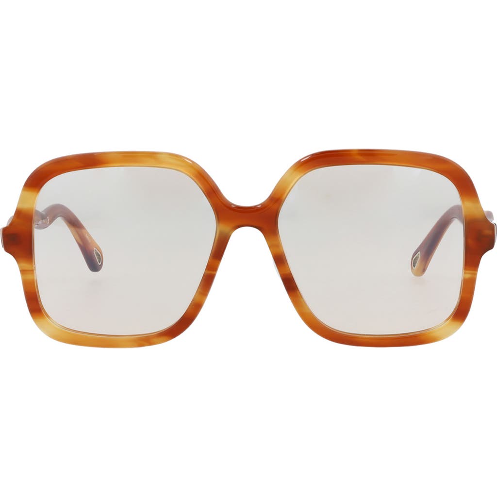 Chloé 54mm Core Square Sunglasses In Havana Havana Transparent