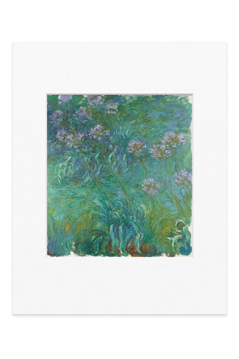 Monet Agapanthus Print, Main, color, MULTI