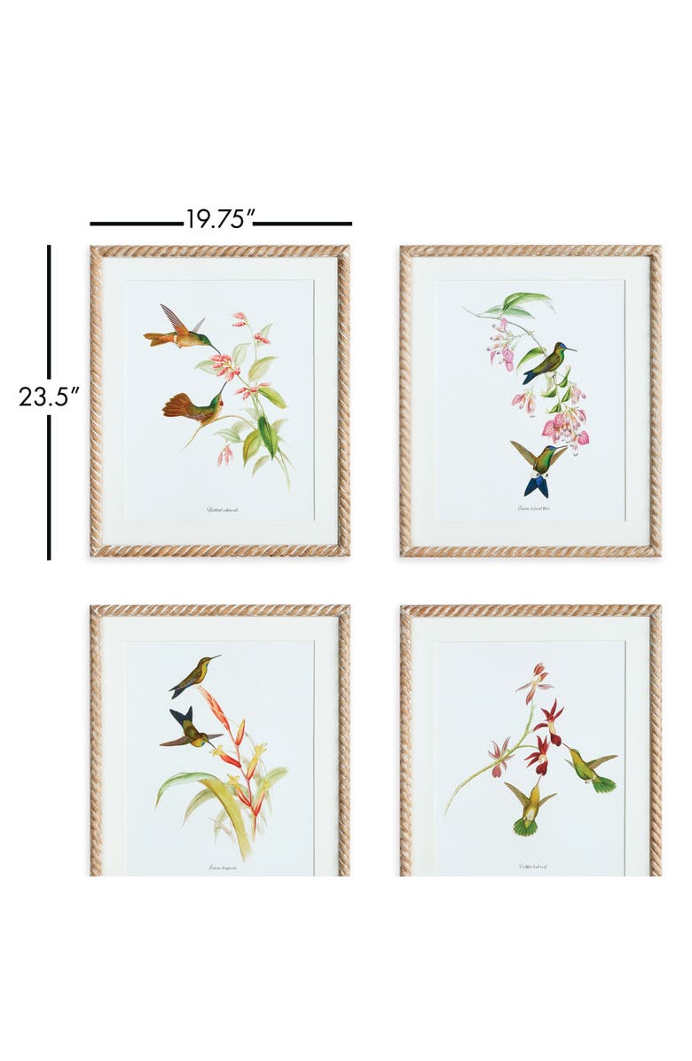 Napa Home & Garden Playful Hummingbird Prints Set of 4, Alternate, color, 