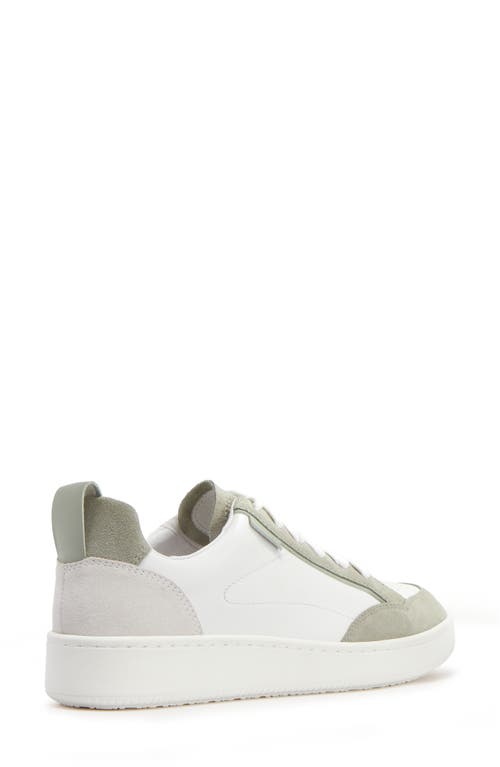Frankie4 Farren Sneaker