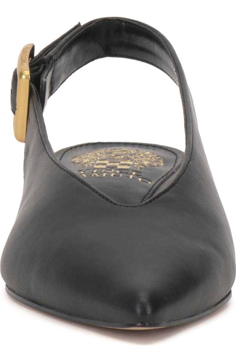 Vince Camuto Velana Pointed Toe Pump, Alternate, color, Black