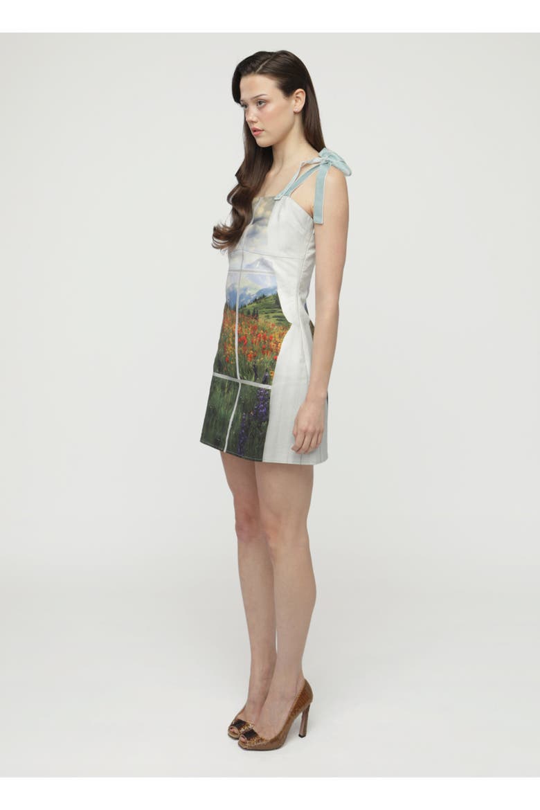 Camila Dress, Alternate, color, Room With a View