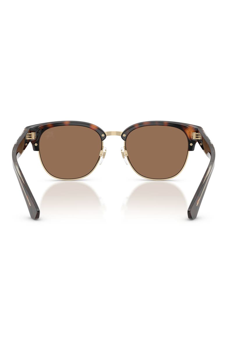 52mm Round Sunglasses, Alternate, color, DARK HAVANA / DARK BROWN