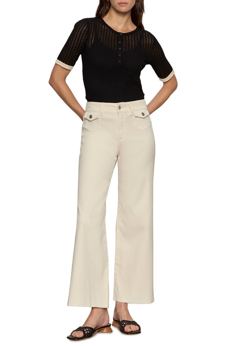 Sanctuary Going Place Pointelle Sweater, Alternate, color, Black