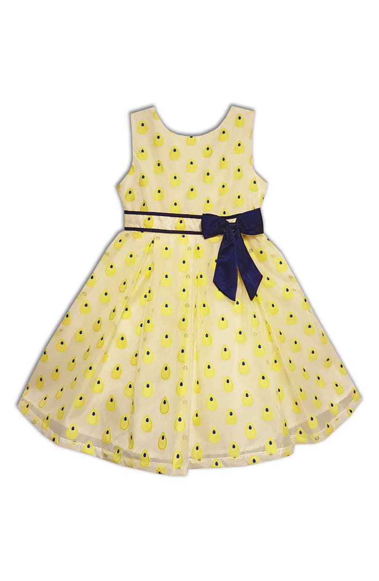 JOE-ELLA Kids' Embroidered Organza Party Dress, Main, color, Yellow