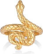Mantra Rebirth and Renewal - Snake Ring