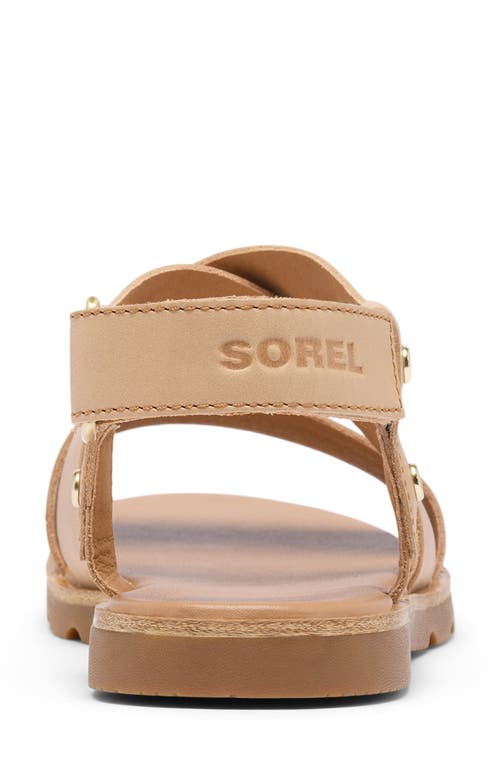 Sorel Ella Iii Crisscross Sandal In Honest Beige/gum