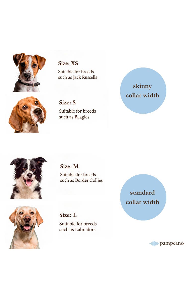 pampeano Pampa Dog Collar - Multi, Alternate, color, Brown/Navy/Red/Blue