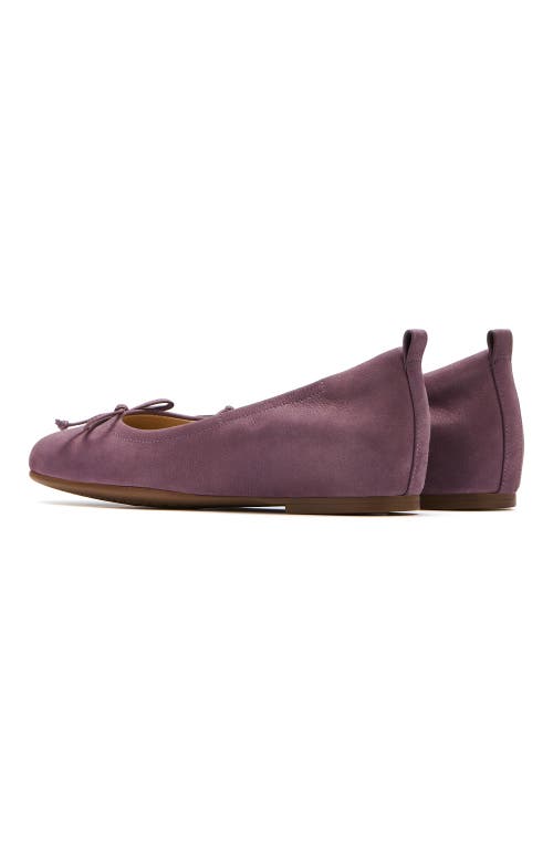 Abeo Cadence Bow Ballet Flat In Purple - Regular