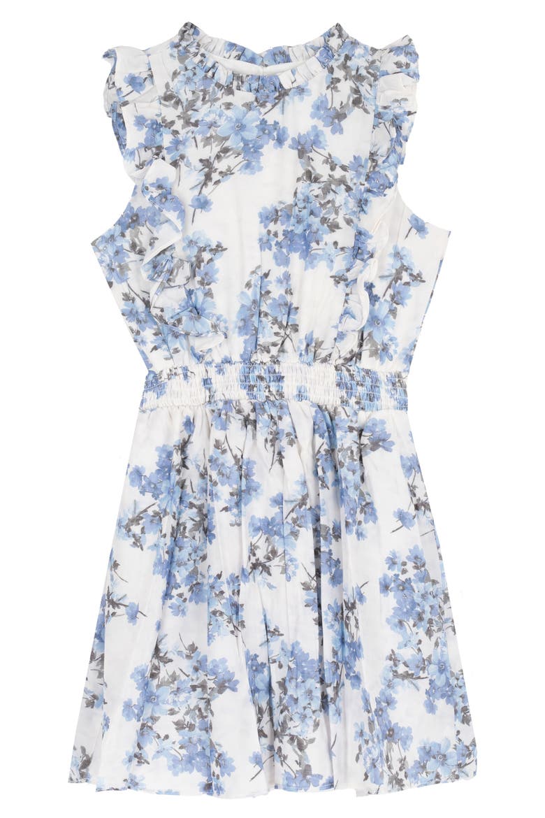 Kids' Floral Dobby Dress, Main, color, BLUE