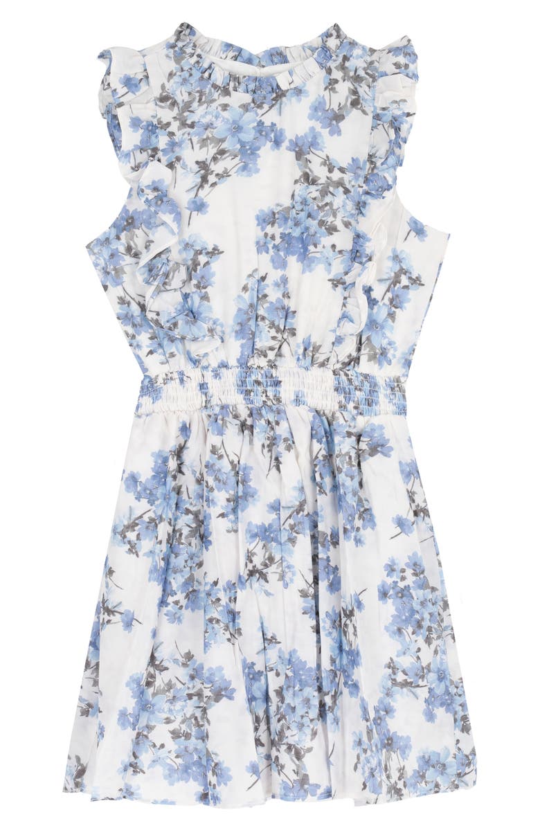 Rare Editions Kids' Floral Dobby Dress, Main, color, Blue