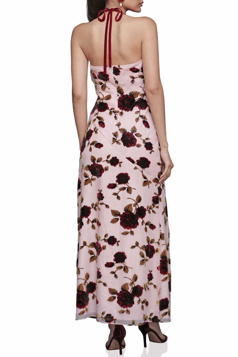Floral Devoré Halter Maxi Cocktail Dress, Alternate, color, ROSE BURNOUT