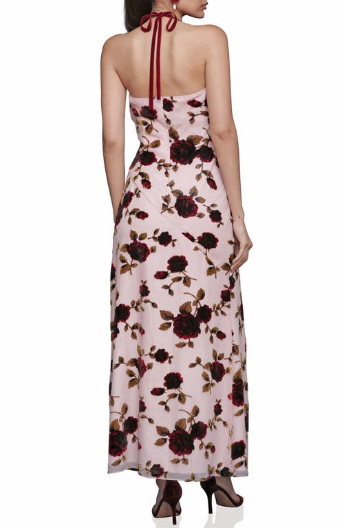 Avec Les Filles Floral Devoré Halter Maxi Cocktail Dress In Pink
