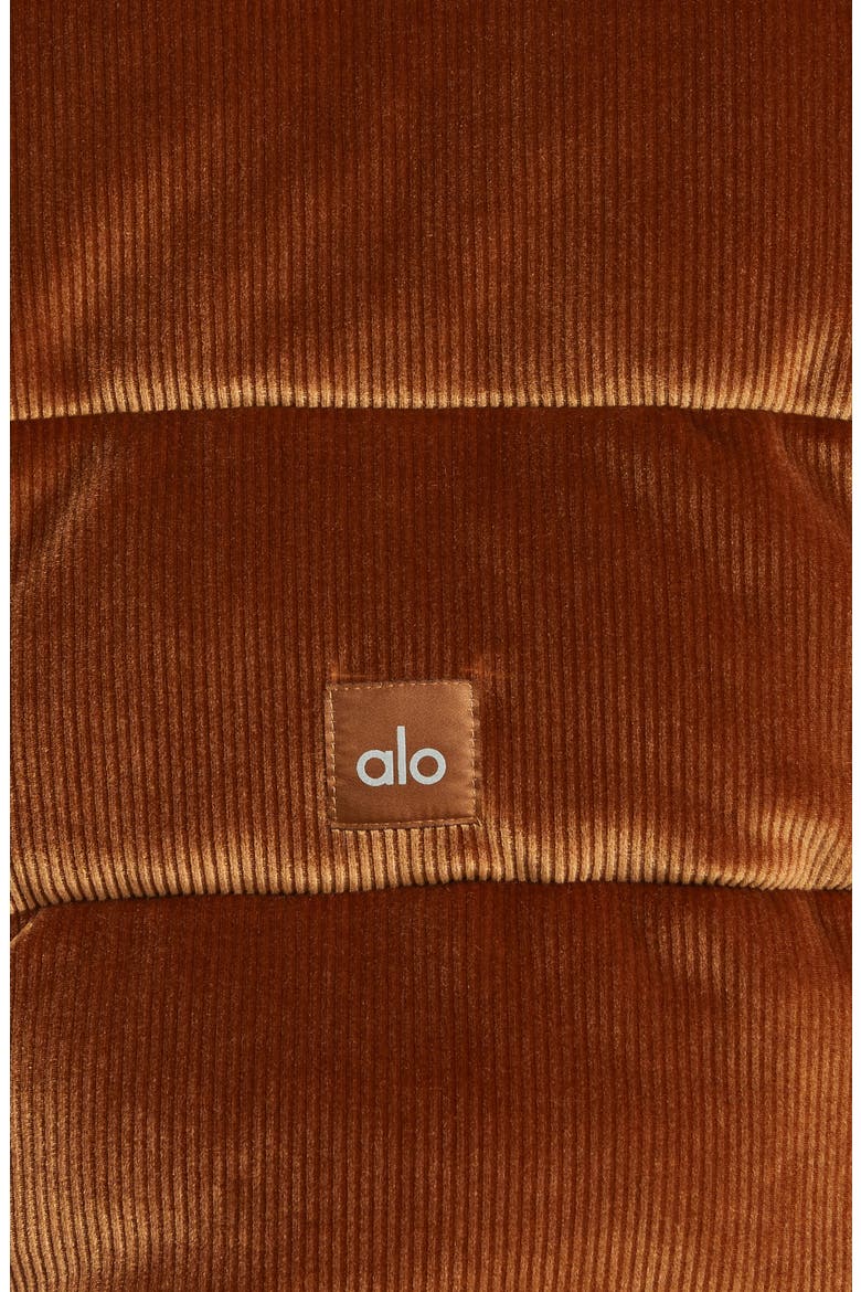 Gold Rush Rib Velour Puffer Jacket, Alternate, color, CINNAMON BROWN