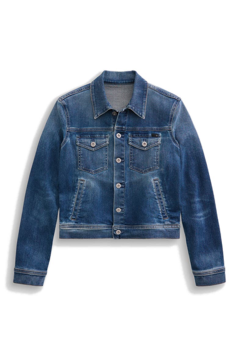 Robyn Crop Stretch Denim Jacket, Alternate, color, 9 YEARS ENCHANTMENT