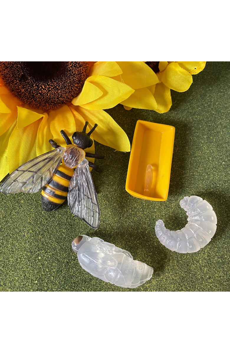 Safari Ltd. Life Cycle Of A Honey Bee, Alternate, color, NO COLOR