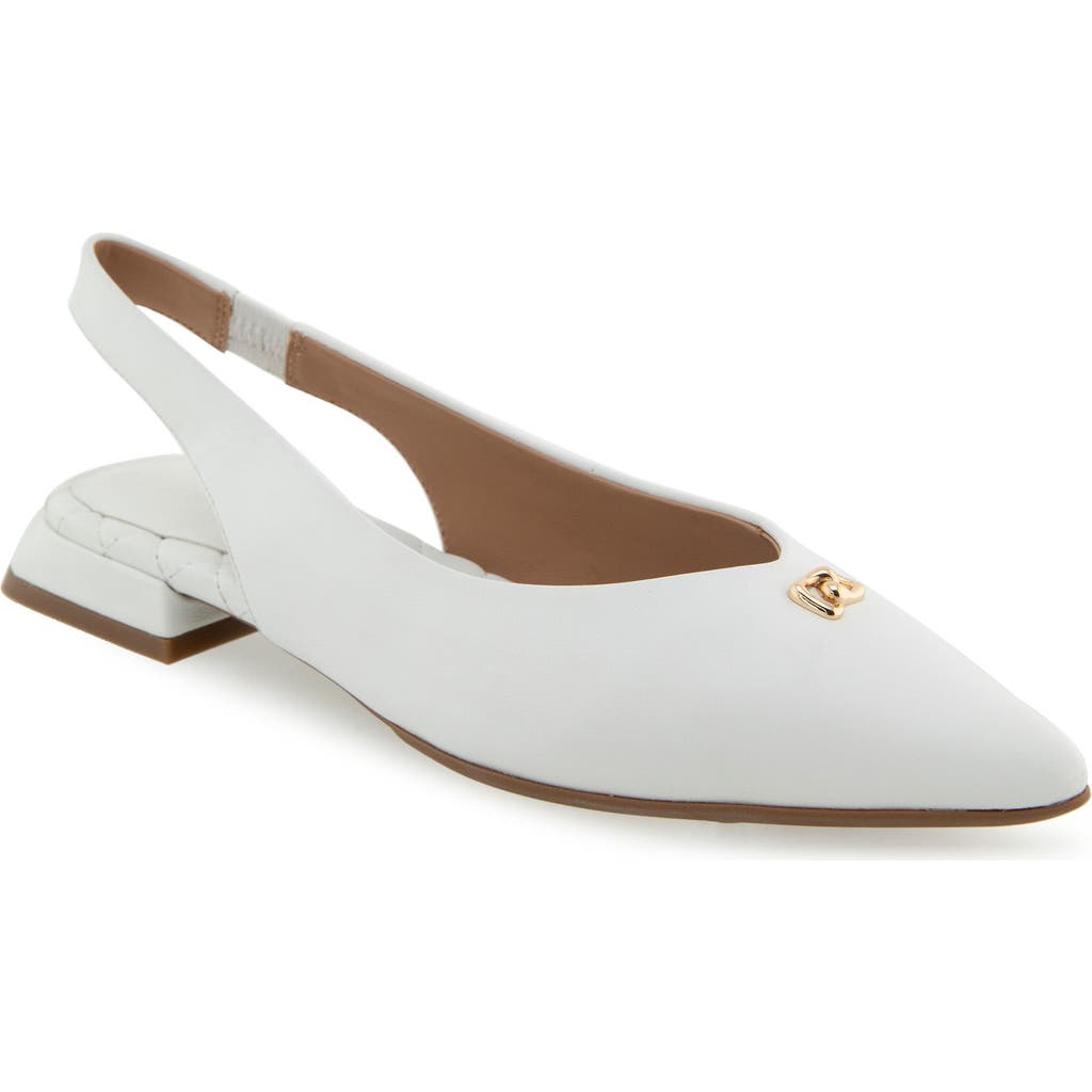 AEROSOLES AEROSOLES NAYANA POINTED TOE SLINGBACK FLAT