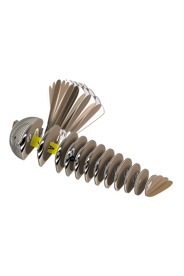 Fantail 3D Puzzle, Alternate, color, No Color