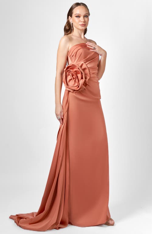 Bariano Amelia Strapless Rose Gown In Pink