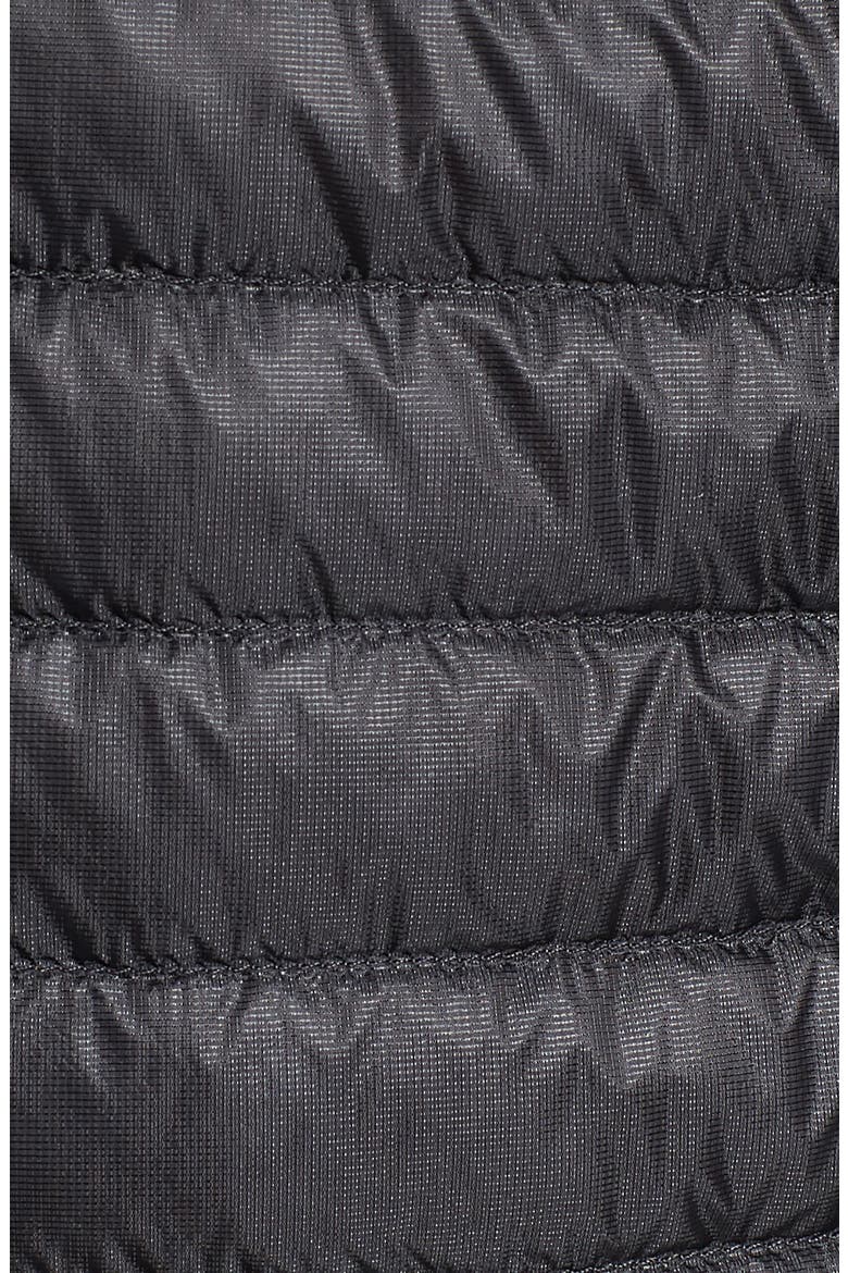 Cerium SL Water Resistant Down Jacket, Alternate, color, PEGASUS