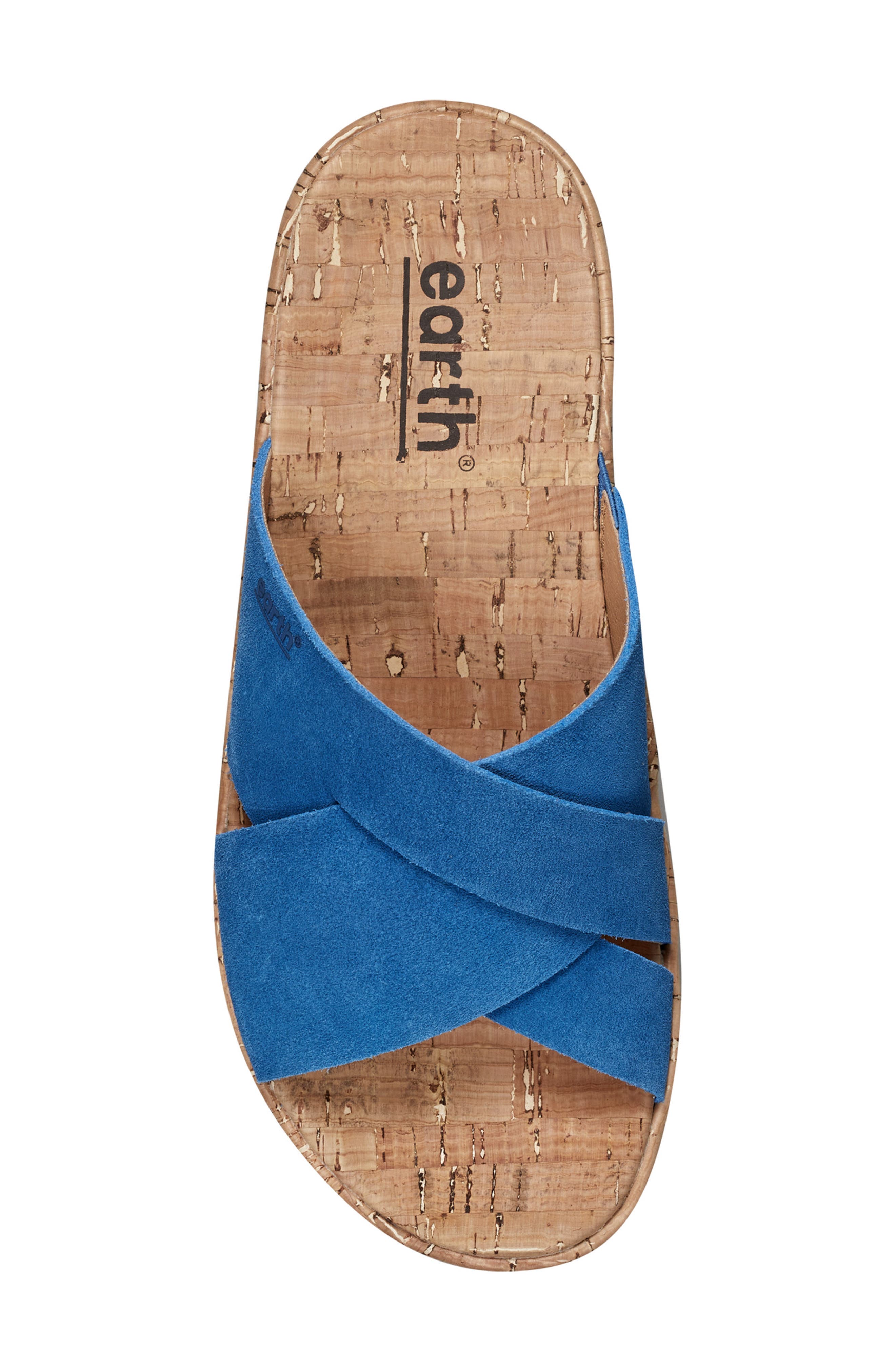 Earth<sup>®</sup> Scout Platform Slide Sandal, Alternate, color, Dark Blue