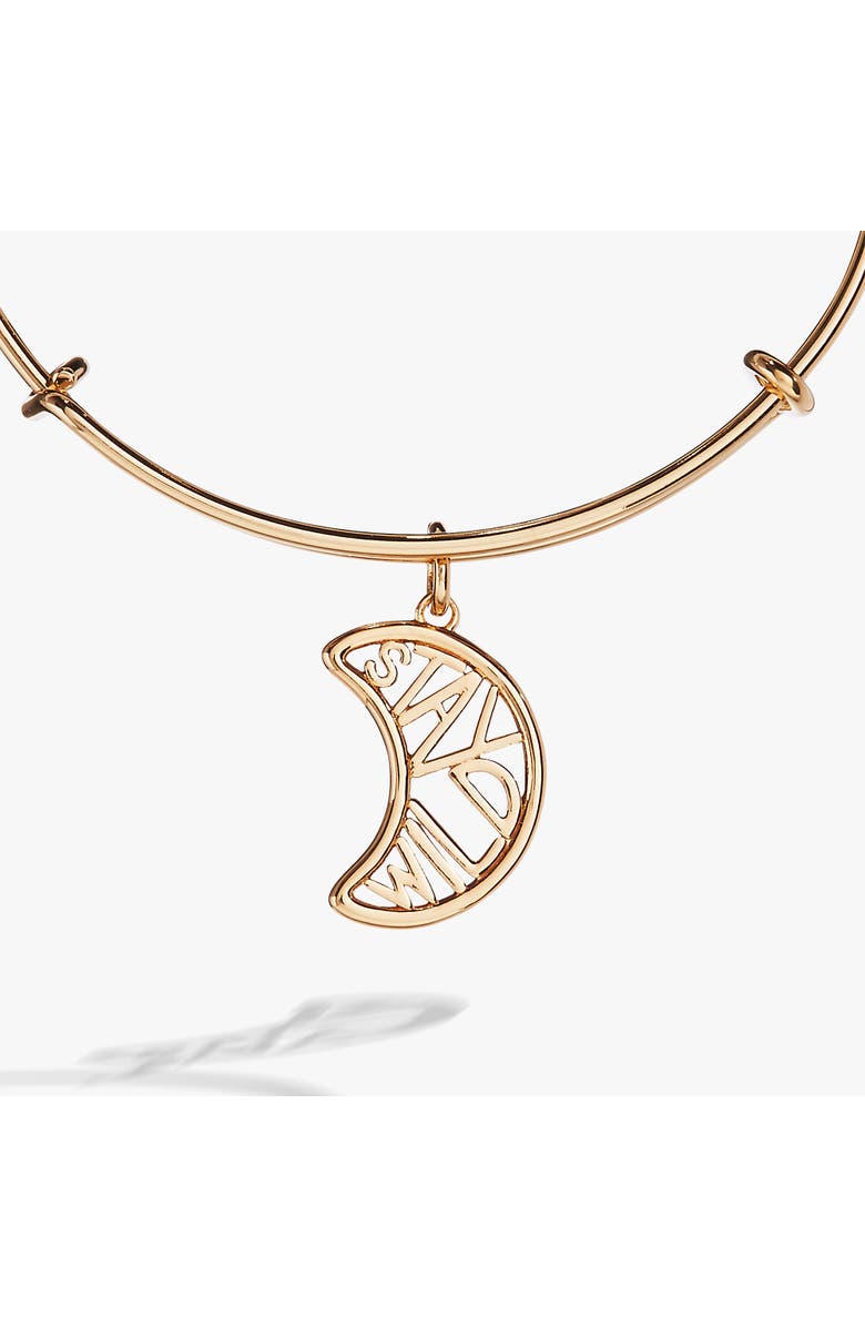 Alex and Ani Stay Wild Bangle Bracelet, Alternate, color, 