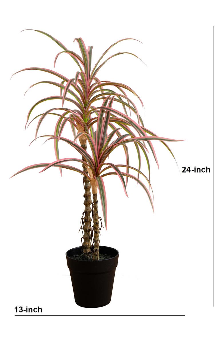 NEARLY NATURAL 2-Feet Artificial Dracaena Marginata Plant, Alternate, color,