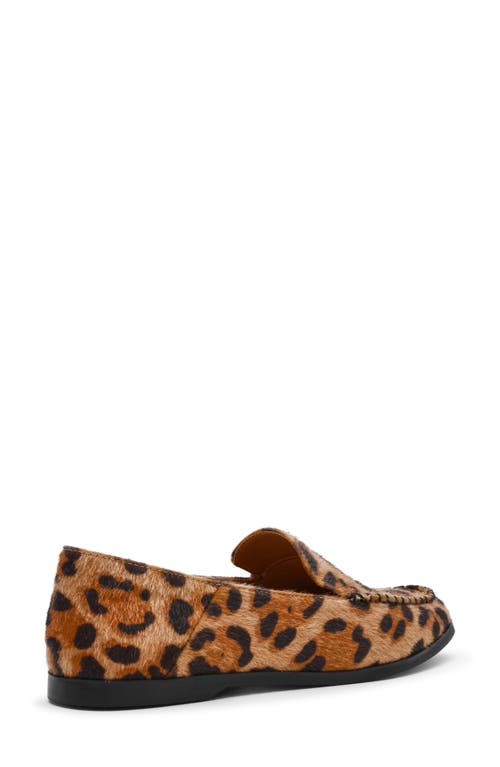 Dolce Vita Dv By Maxon Loafer In Brown