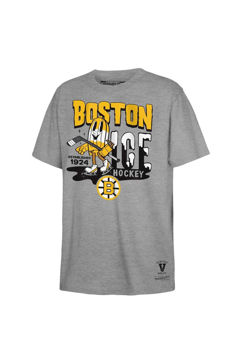 Youth Mitchell & Ness Gray Boston Bruins Popsicle T-Shirt, Alternate, color, Gray