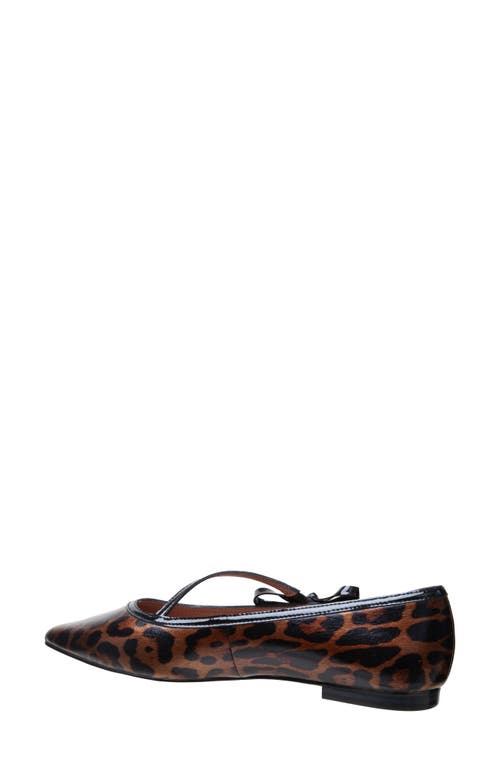 Linea Paolo Nuri Bow Pointed Toe Patent Flat In Multi