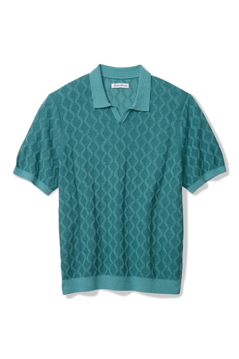 Ocean Waters Short Sleeve Polo, Alternate, color, BLUE CHAISE