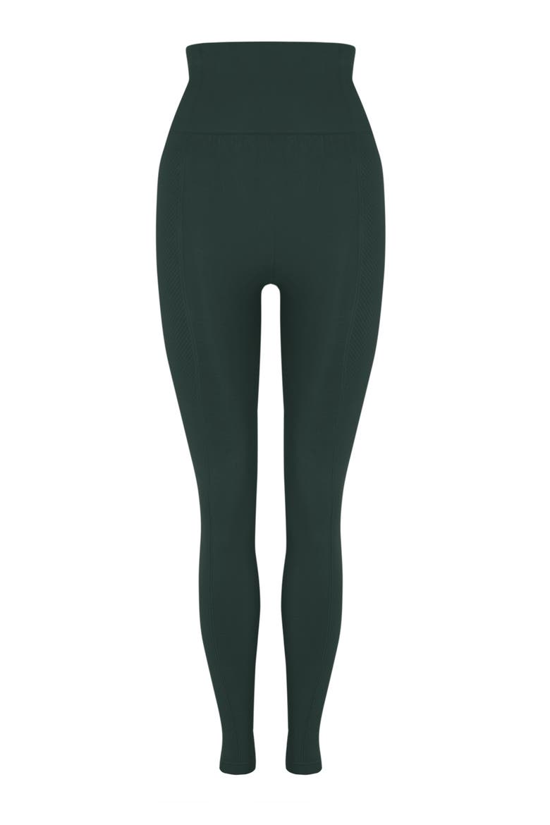 Naisha Seamless High Rise Sport Legging, Alternate, color, Moss