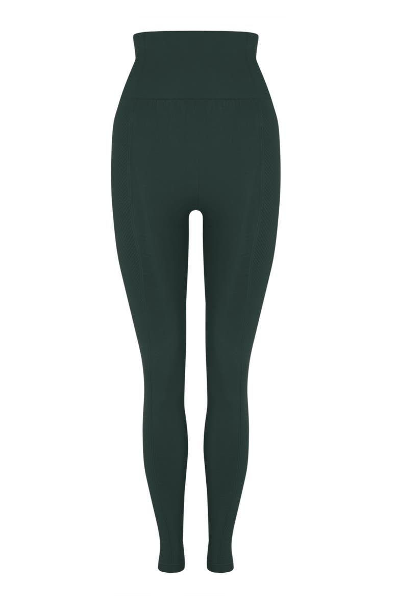 Born Living Yoga Naisha Seamless High Rise Sport Legging, Alternate, color, Moss