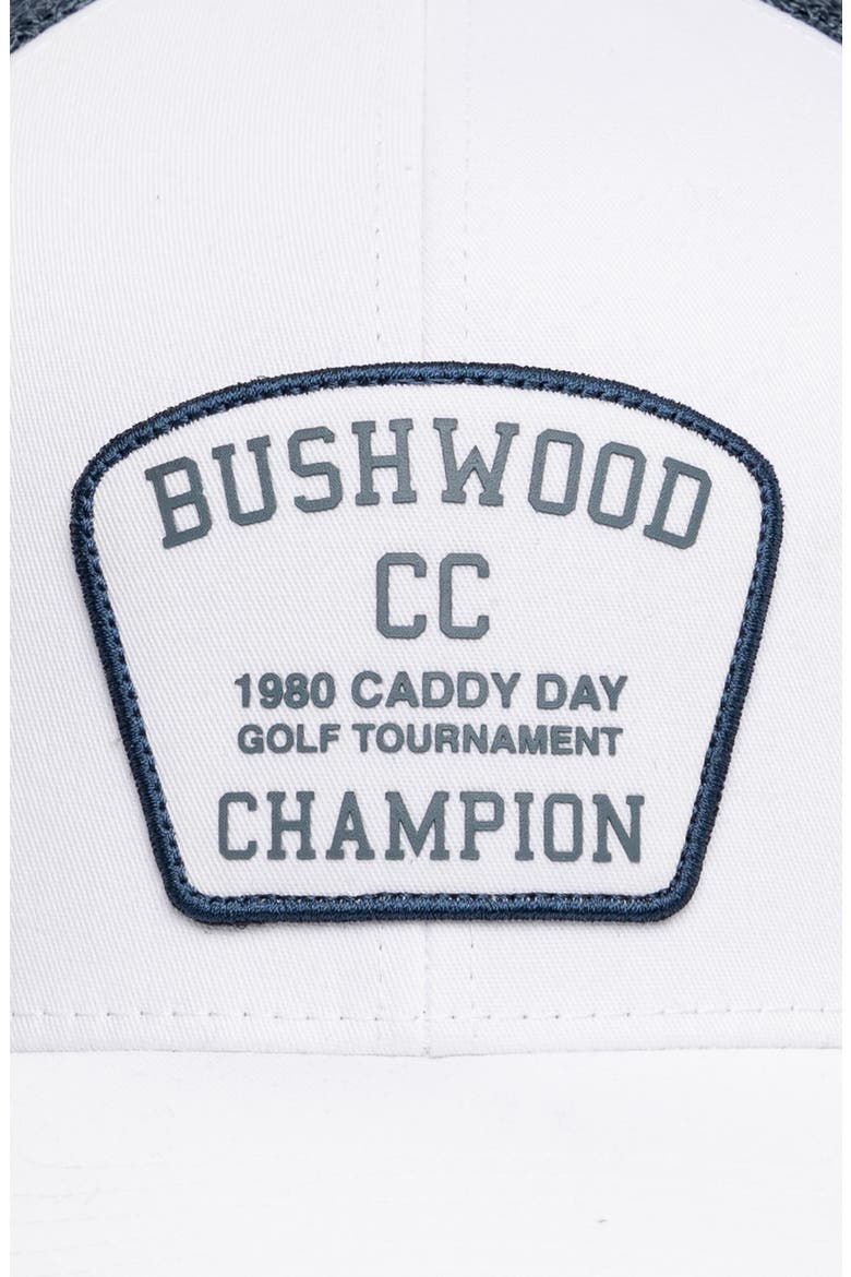 Presidential Suite Trucker Hat, Alternate, color, WHITE