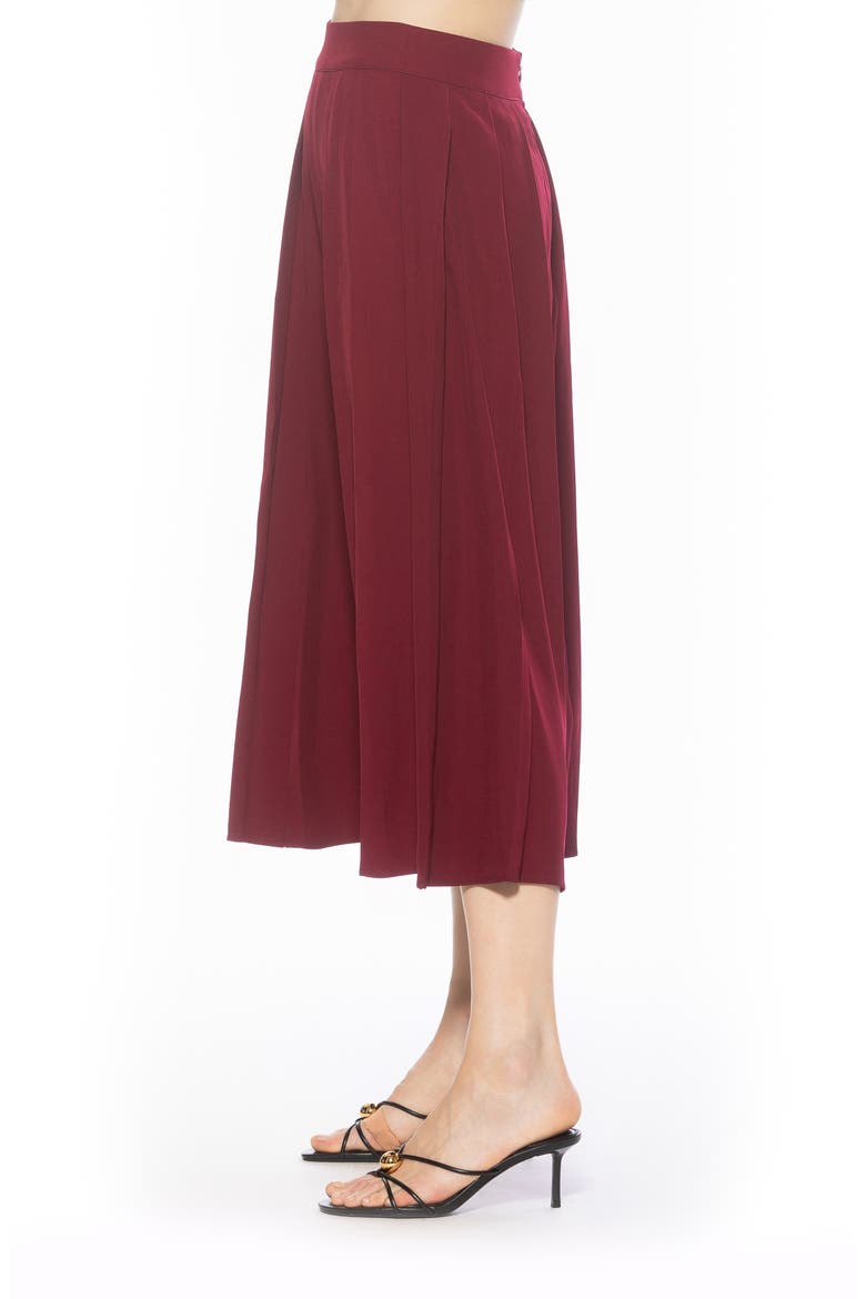 Oren Pleated Midi Skirt, Alternate, color, BURGUNDY