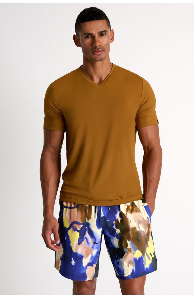 SHAN Long fit stretch swim trunks, Alternate, color, Print